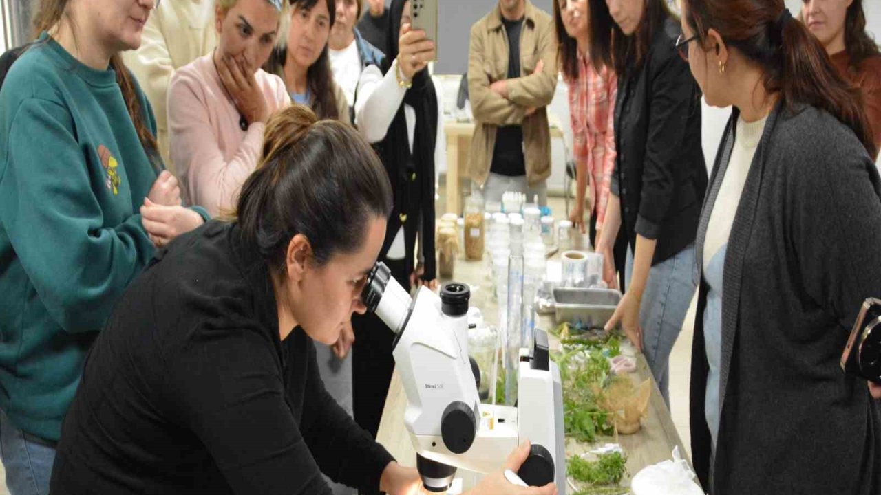 BAÇEM’de 5. Bitki Doku Kültürü kursu tamamlandı