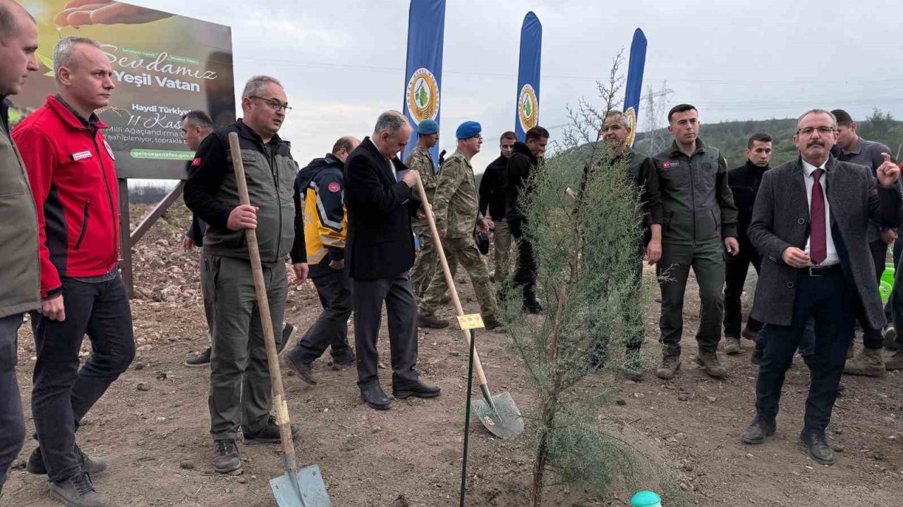 Manisa’da 2025 sonuna kadar 3,1 milyon fidan toprakla buluşacak