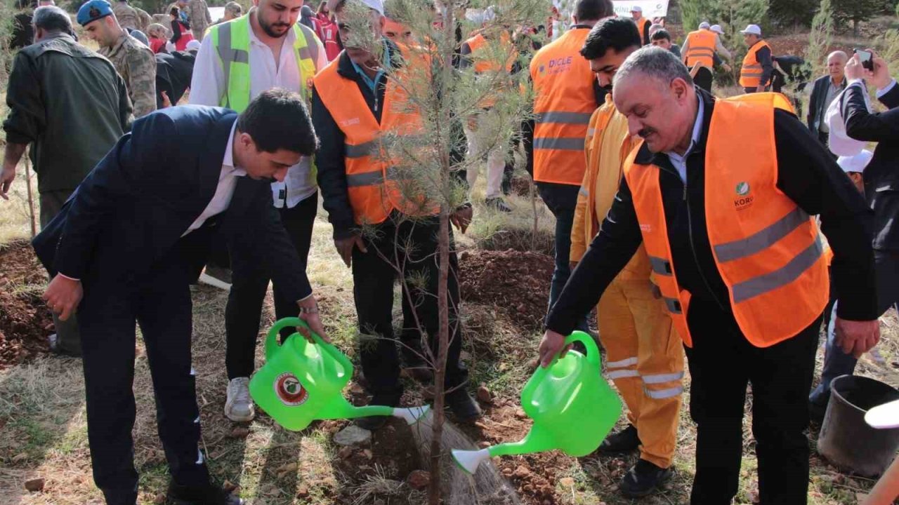 DEPSAŞ Enerji’den Makam Dağı’na 3 bin fidanlık yeşil dokunuş