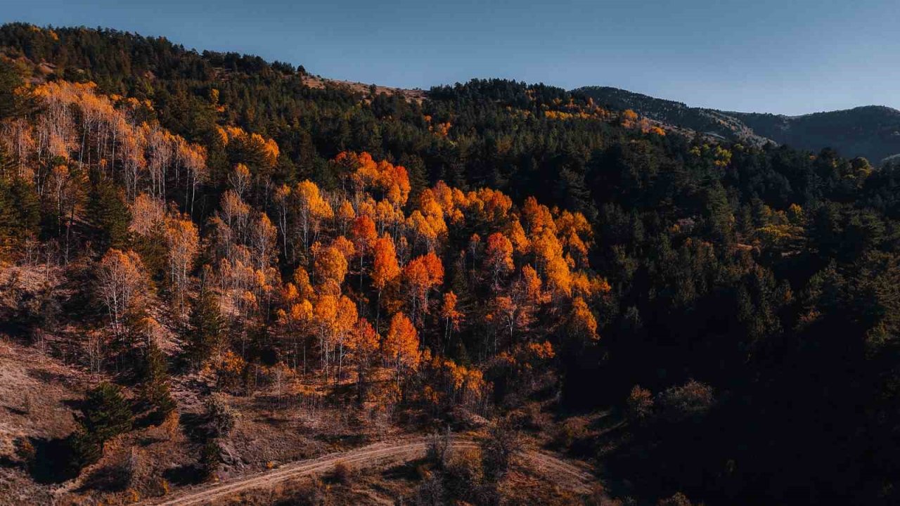 Karagöl Tabiat Parkı’nda sonbahar, renkli görüntüler oluşturdu
