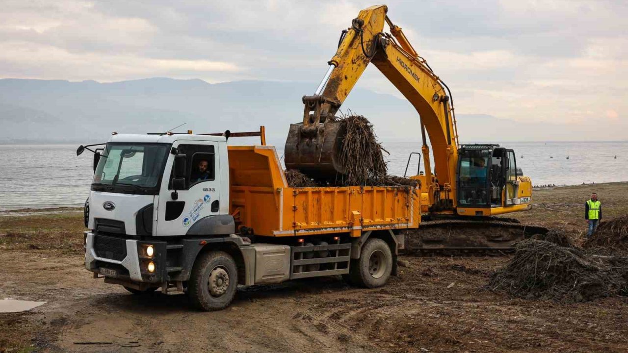 Sapanca Gölü kıyılarında ekosistemi koruyan temizlik