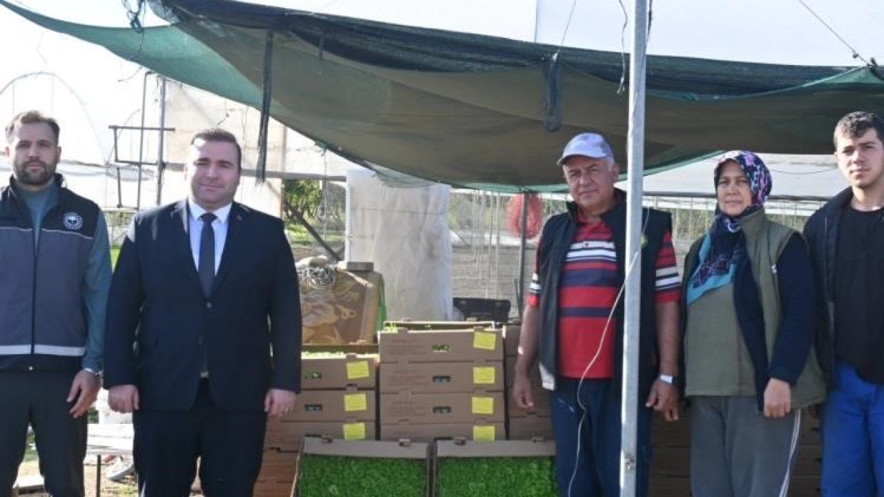 Kaymakam Ünal’dan çiftçilere sertifikalı tohum desteği