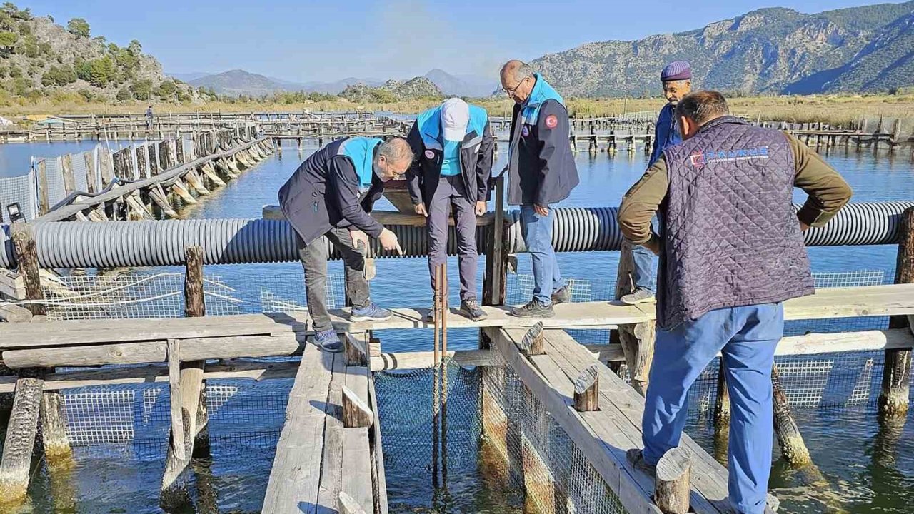 Köyceğiz Gölü, Dalyan ve İztuzu’nda denetim