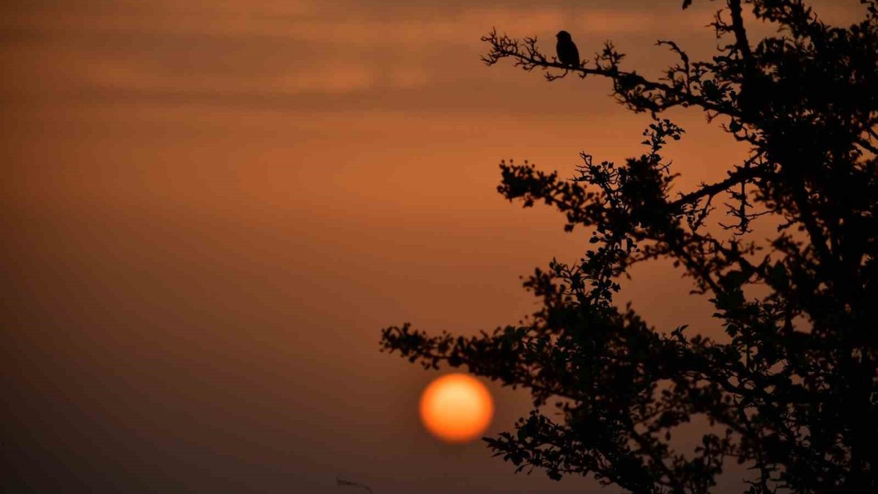 Kuş Cenneti’nde sonbahar