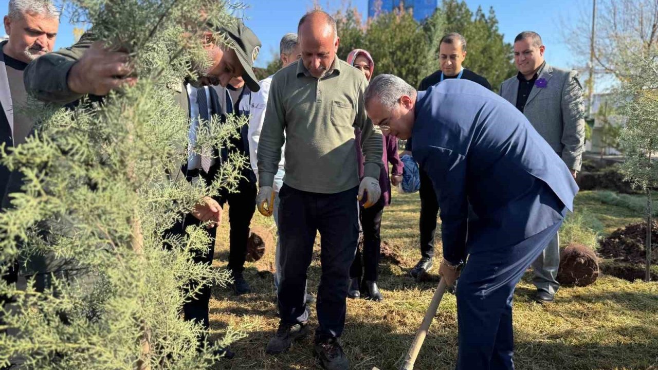 Diyarbakır’da Dünya Prematüre Günü etkinliği
