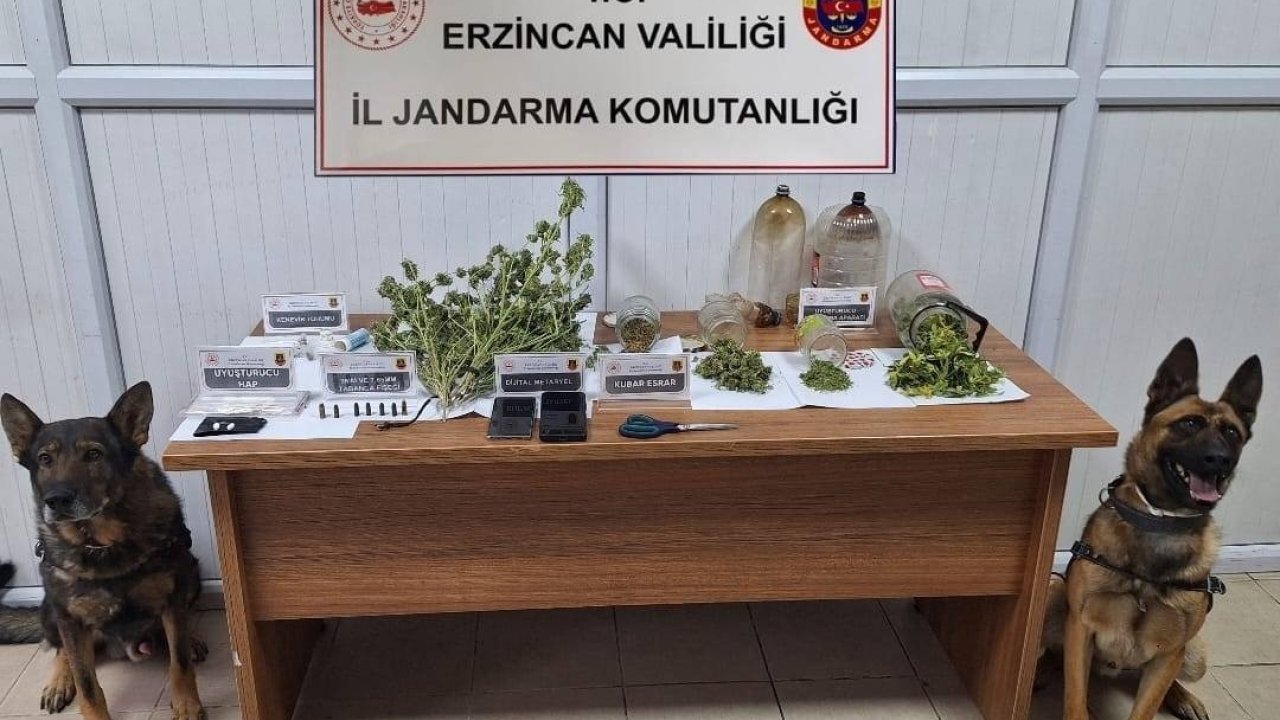 Jandarma Kasım ayı bilançosu: 124 olayın yüzde 93’ü aydınlatıldı