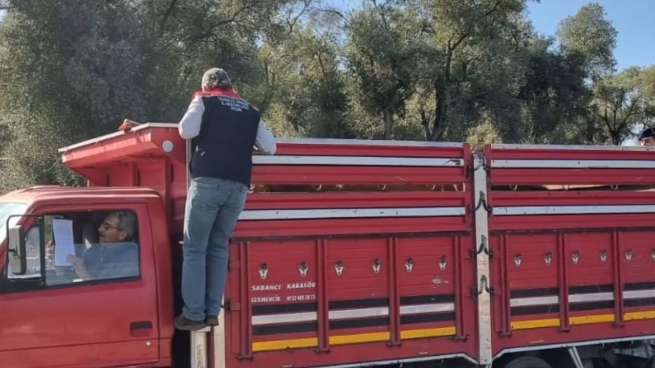 Karpuzlu’da hayvan sevkiyatına denetim