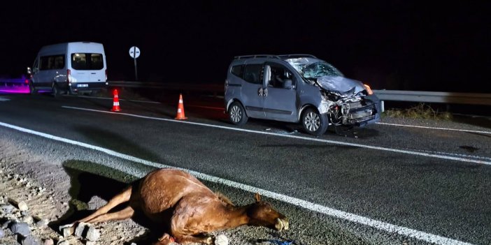 Kars'ta Başıboş atlar trafik kazasına neden oldu.