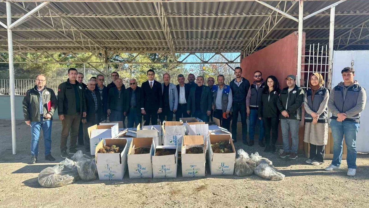 Bilecik’te 42 bin adet çilek fidesi dağıtıldı