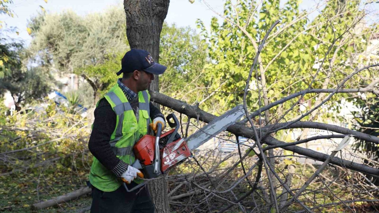 Aydın Büyükşehir Kemer Mahallesi’nde budama ve temizlik çalışması gerçekleştirdi