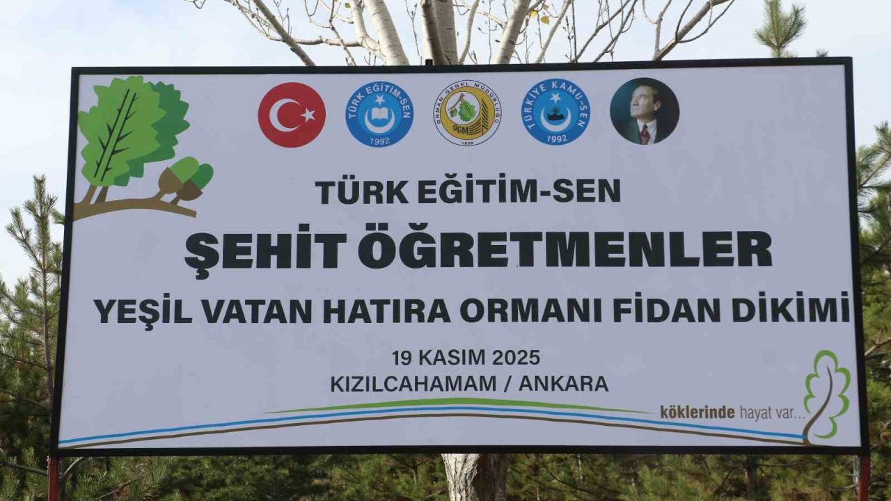 Türk Eğitim-Sen Genel Başkanı Geylan: "Maalesef her yıl on binlerce hektarımız yanıyor"