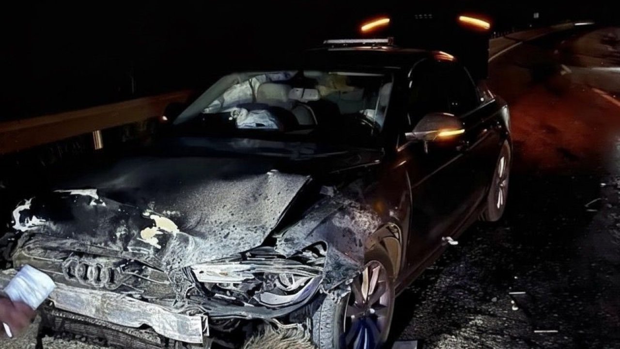 Sinop Belediye Başkanı Gürbüz’ün makam aracı domuz sürüsüne çarptı