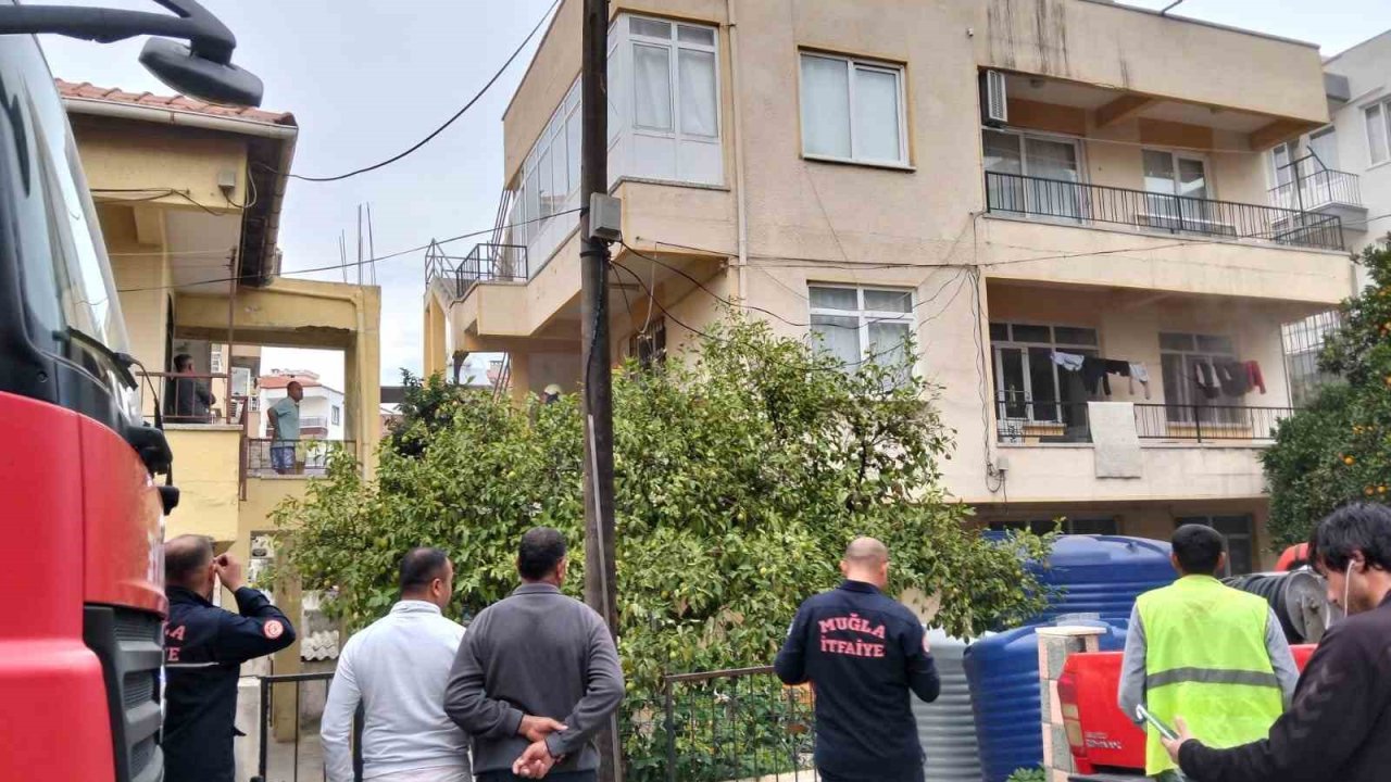 Ocakta unutulan yemekten çıkan yangında 2 kedi telef oldu