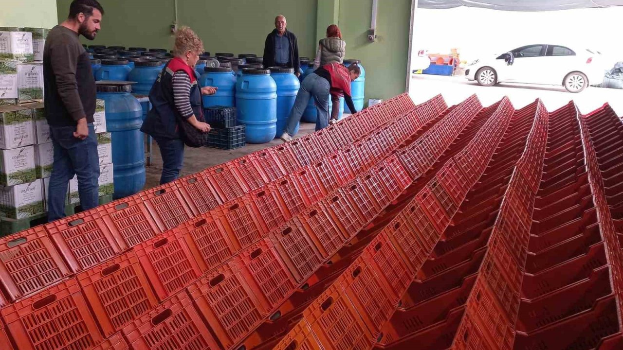 Didim’de organik zeytin ve zeytinyağı üretim alanları denetlendi