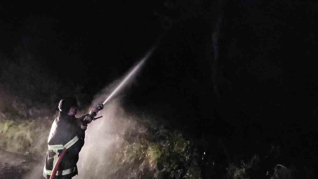 Kastamonu’da çıkan orman yangını söndürüldü