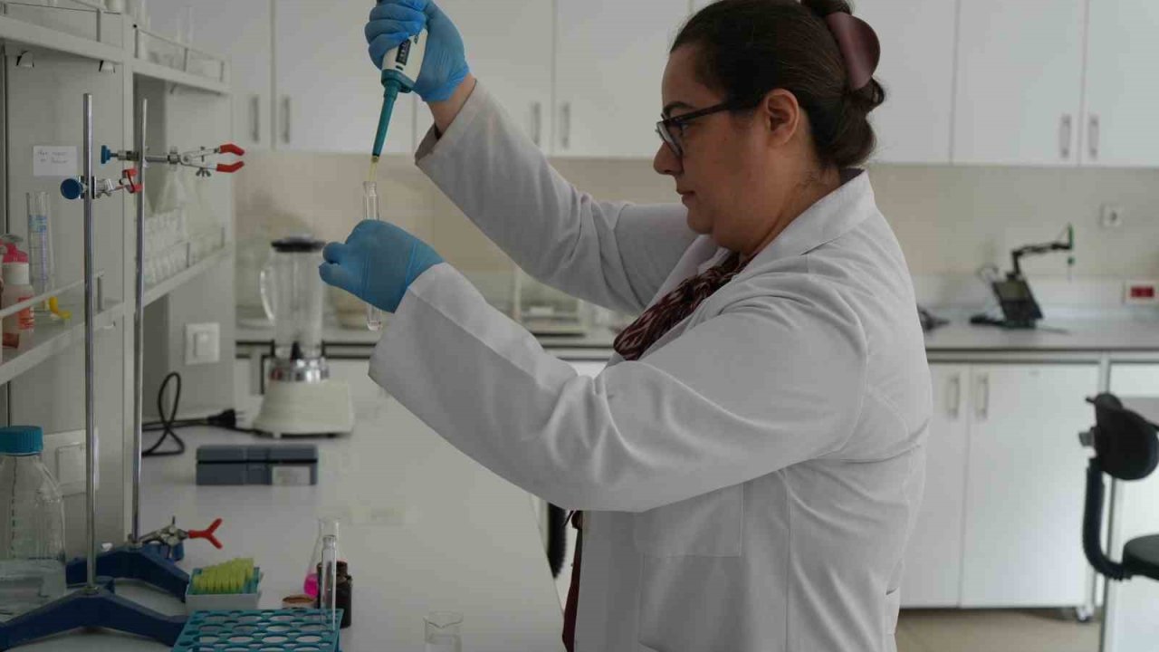 Sık sık gündeme gelen zehirlenmelerle ilgili uzmanlardan hayati uyarılar: "Denetlenen işletmeleri tercih edin"