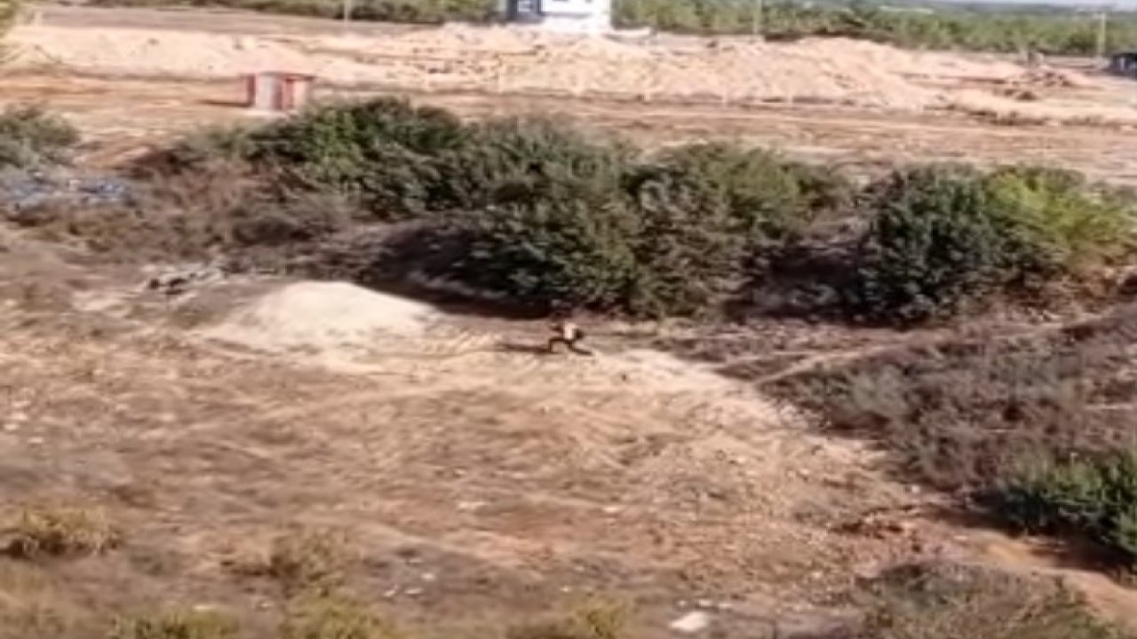 Adana’da nefes kesen kovalamaca: Firari hükümlü boş arazide yakalandı