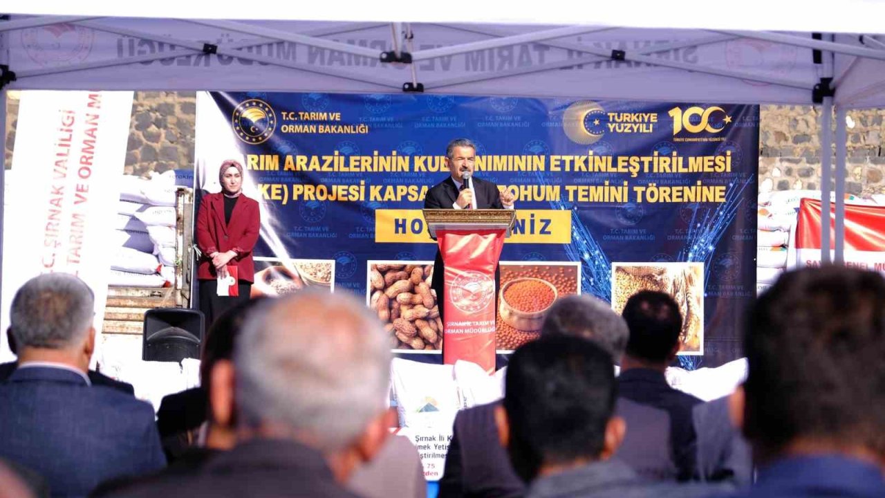 İdil’de 107 ton kırmızı mercimek tohumu dağıtıldı