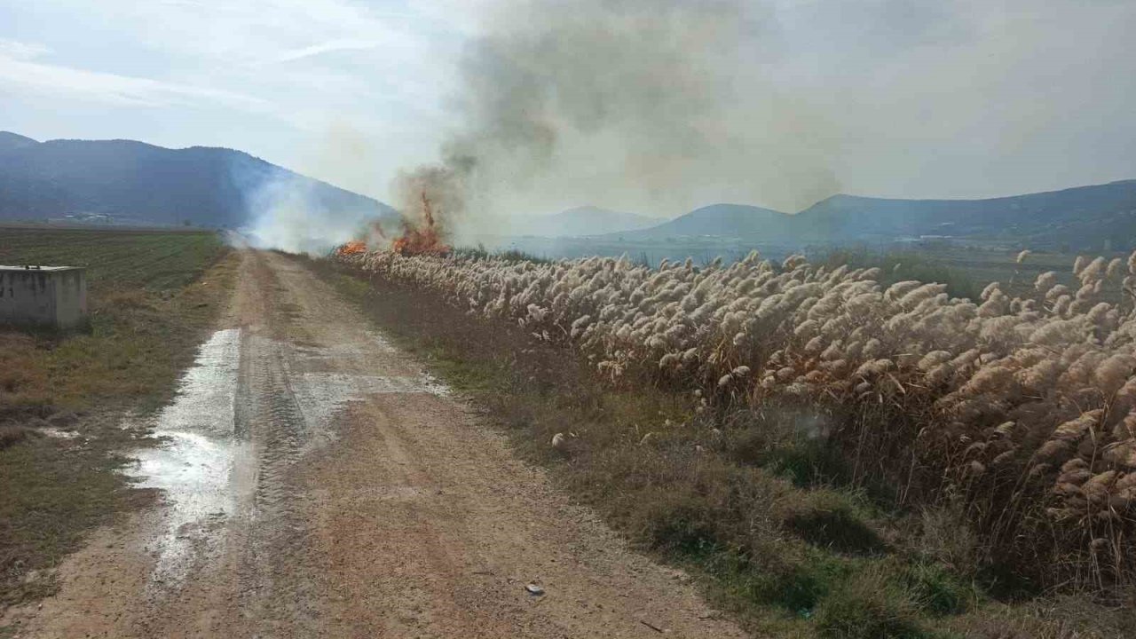 Bucak’ta sazlık alanda yangın