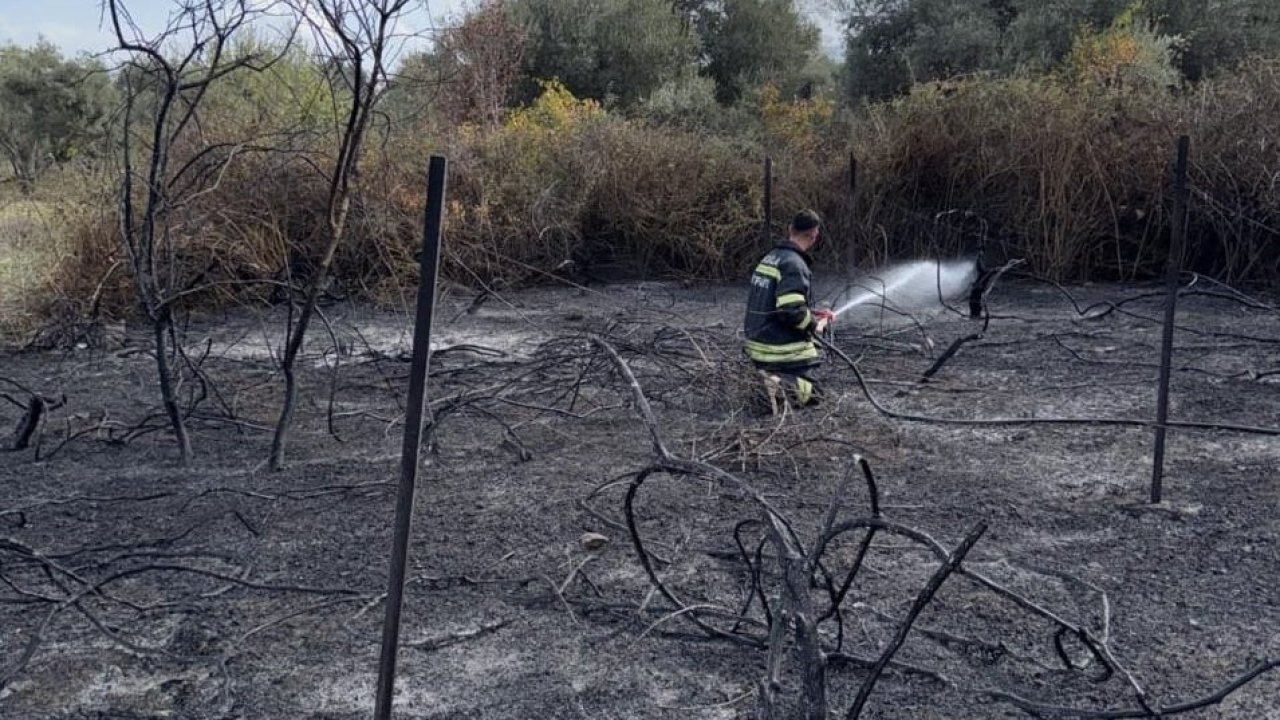 Muğla’da üzüm bağları alevlere teslim oldu