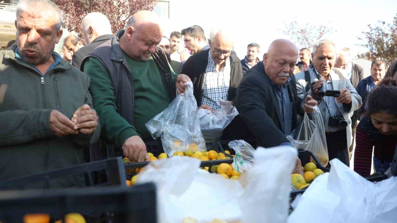 Mandalinanın fiyatı 2 TL’ye düşünce tonlarca ürünü vatandaşlara ücretsiz dağıttılar