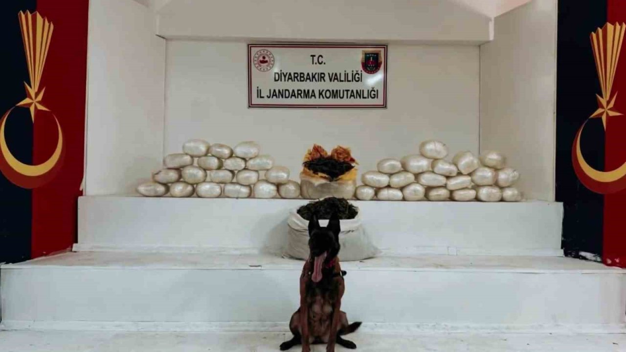 Diyarbakır’da 470 kilo skunk ve 85 kilo esrar ele geçirildi