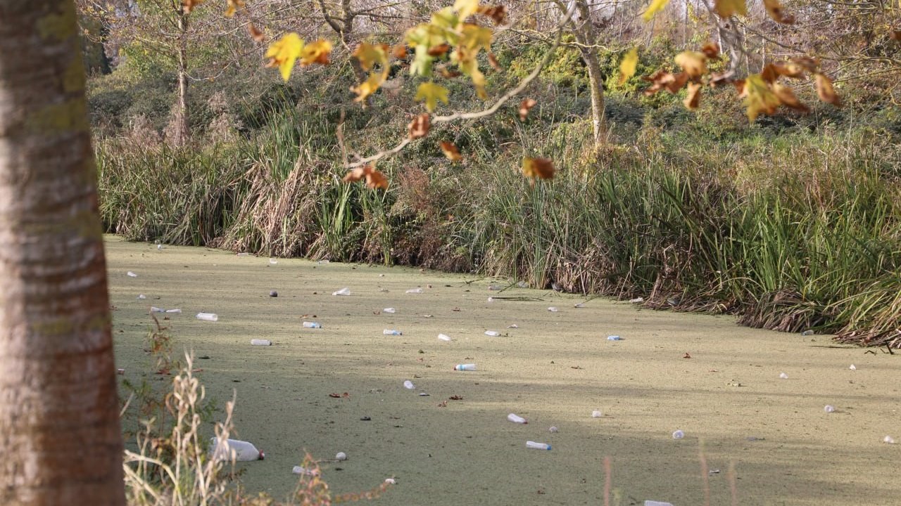 Su kanalı adeta çöplüğe döndü: Vatandaş Karasu Belediyesi’ni göreve çağırdı