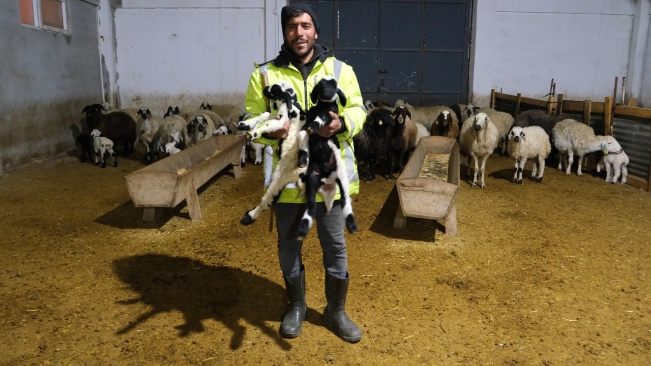 Erzincanlı üretici yüzde 50 hibe desteğiyle 8 Milyon TL’lik çiftlik kurdu