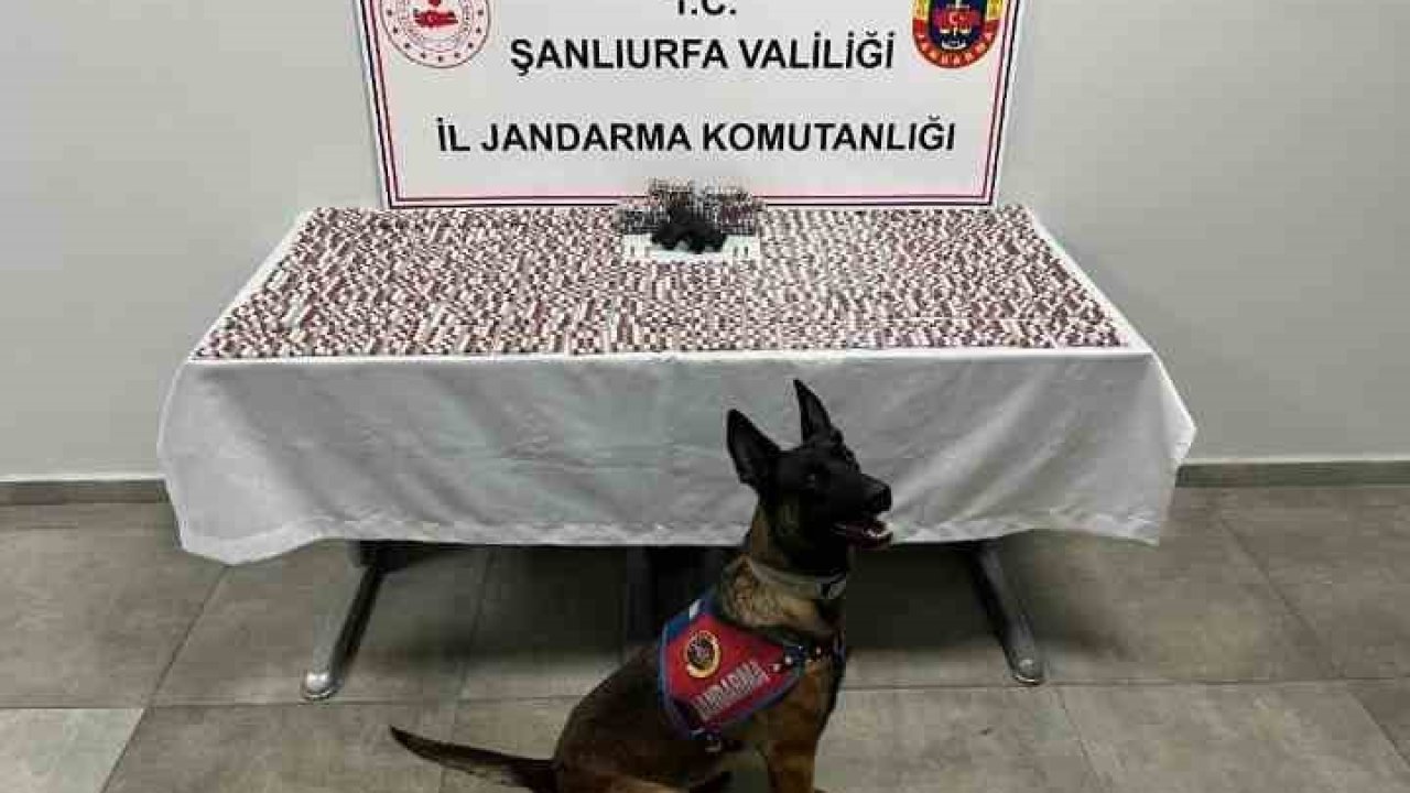 Şanlıurfa’da uyuşturucu operasyonu: 2 gözaltı