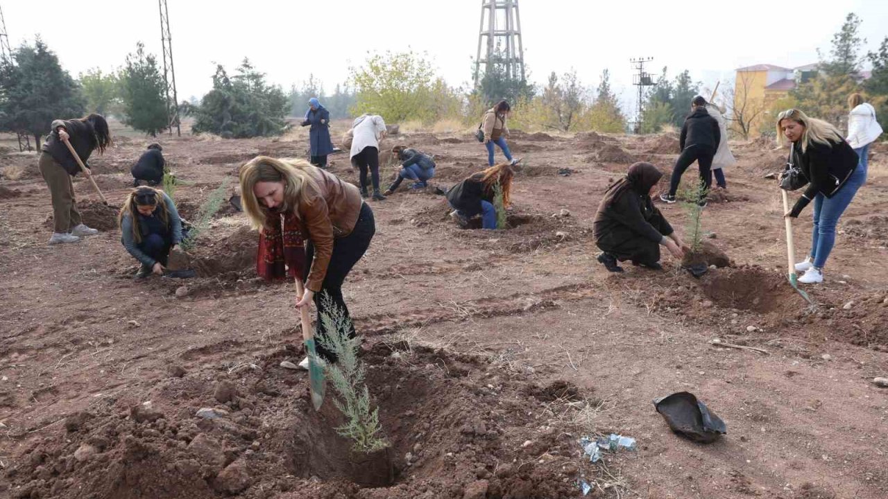 Kadına yönelik şiddete dikkat çekmek amacıyla fidan dikim etkinliği yapıldı