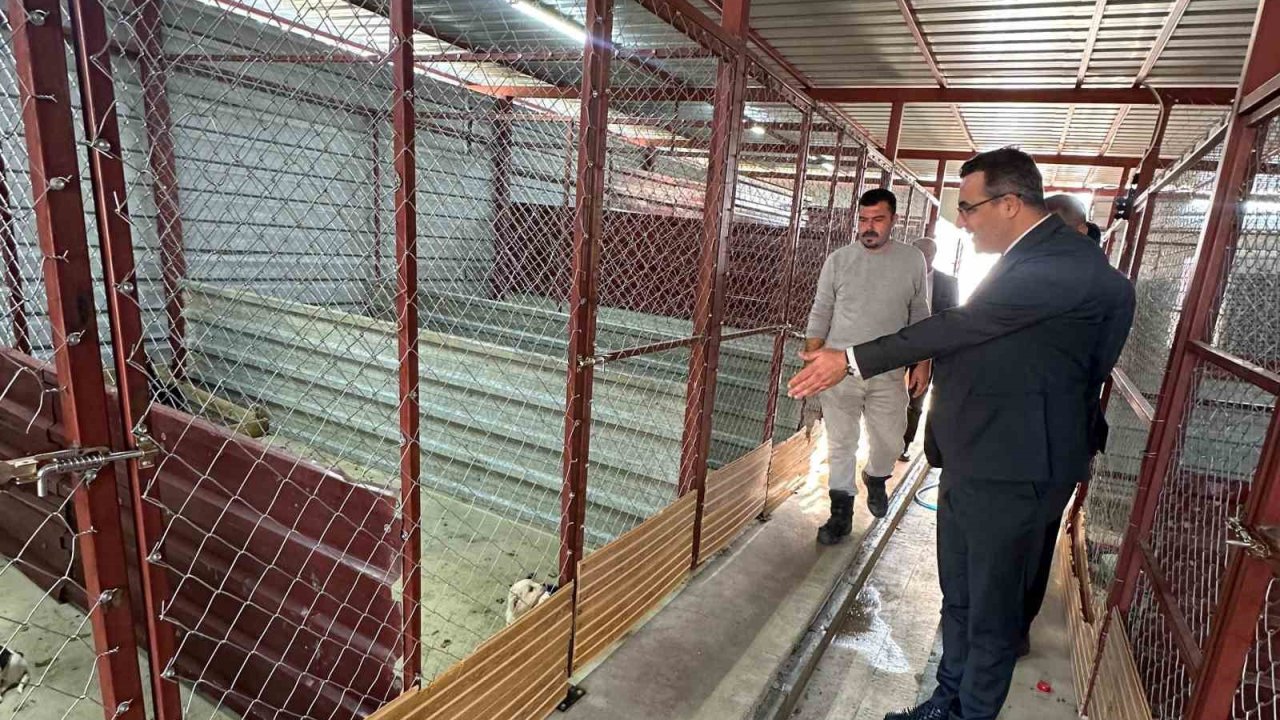 Sarıgöl’de hayvan bakım hizmetlerine yakın takip