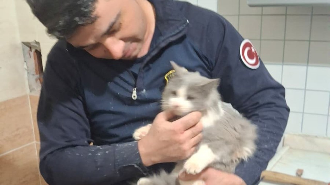 Malatya’da havalandırma boşluğuna düşen kedi kurtarıldı