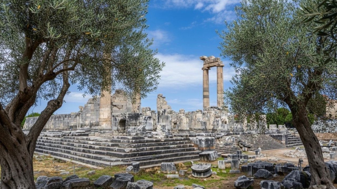 Başkan Gençay: "Zeytin ağacı Didim’in hafızasıdır"