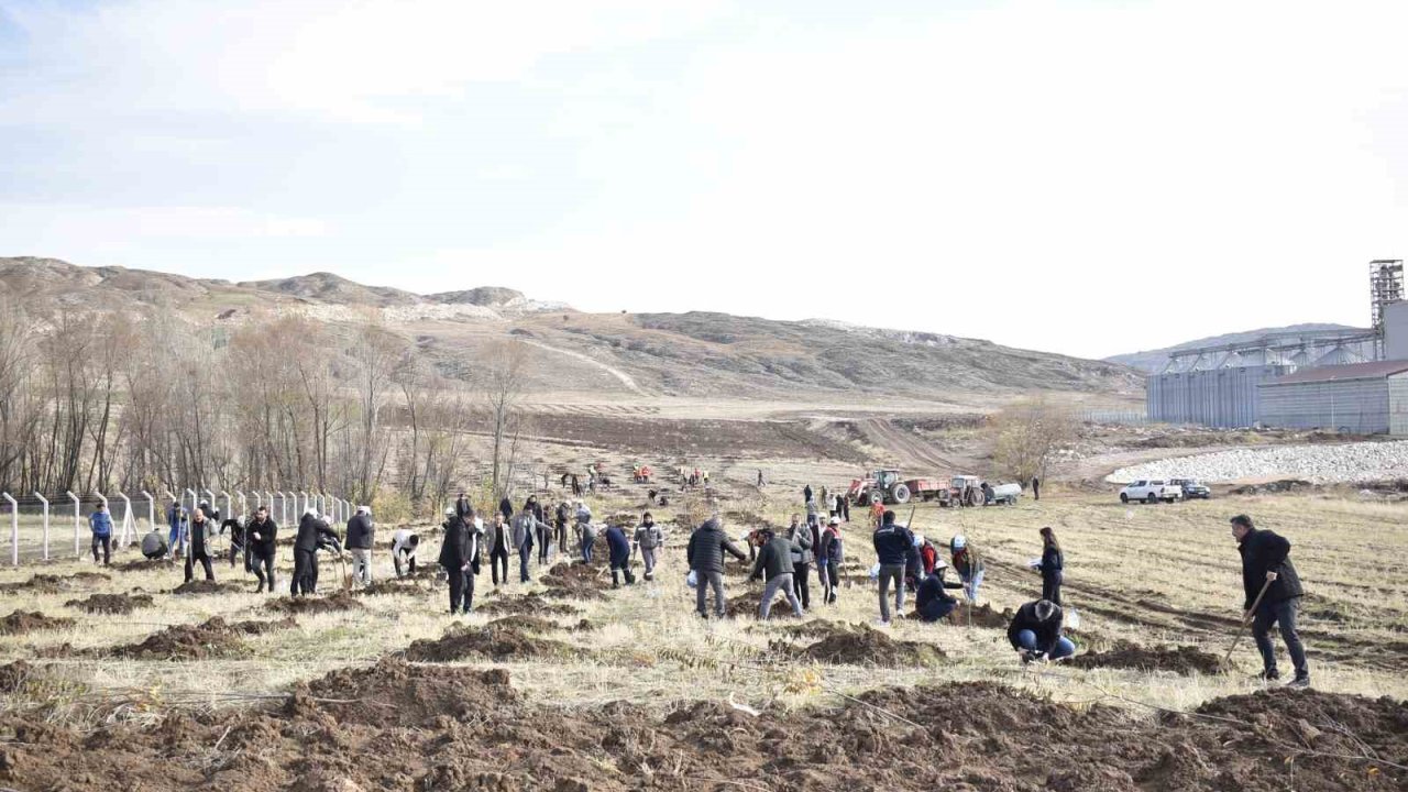 Sivas OSB’de yeşil dönüşüm binlerce fidan toprakla buluşuyor