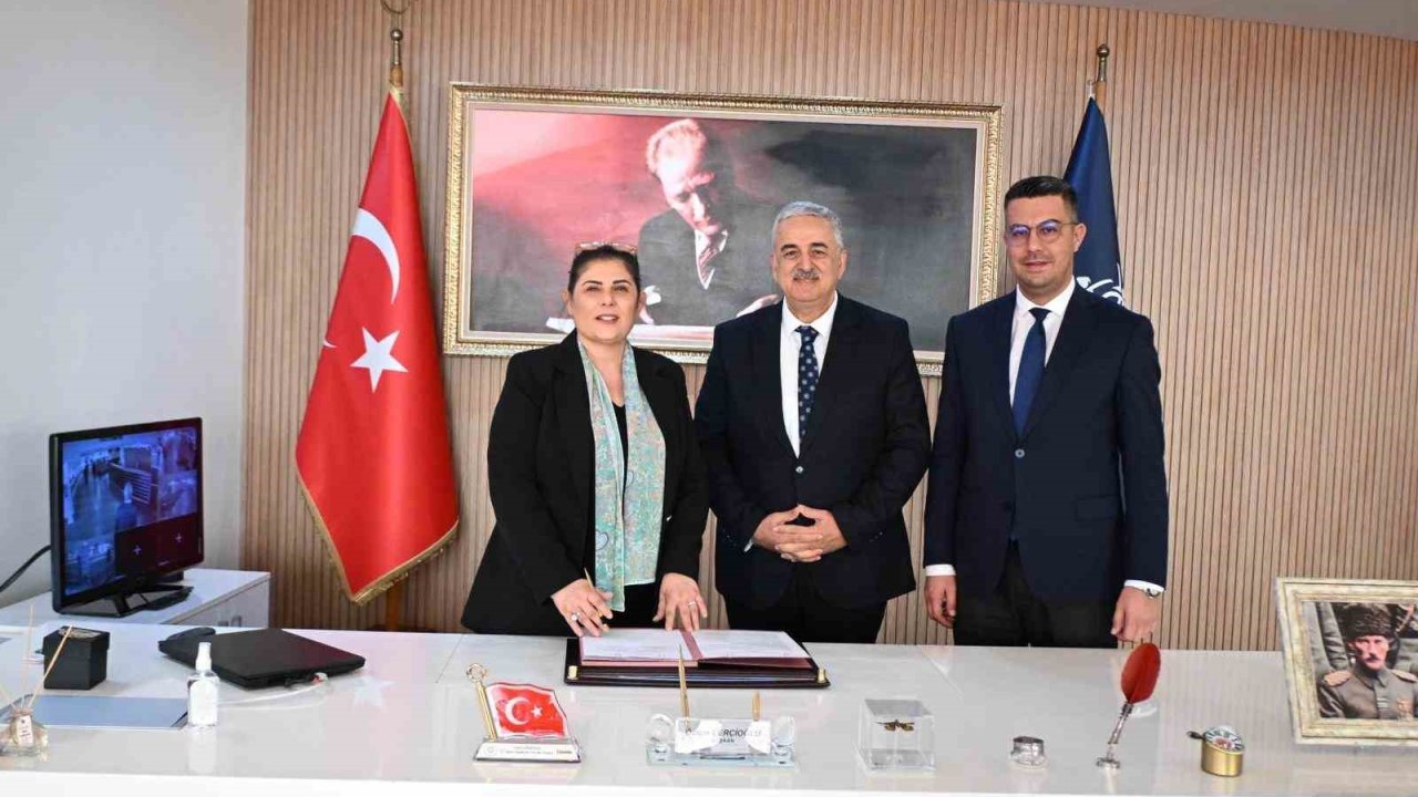 Sokak hayvanları için doğal yaşam alanı oluşturulacak