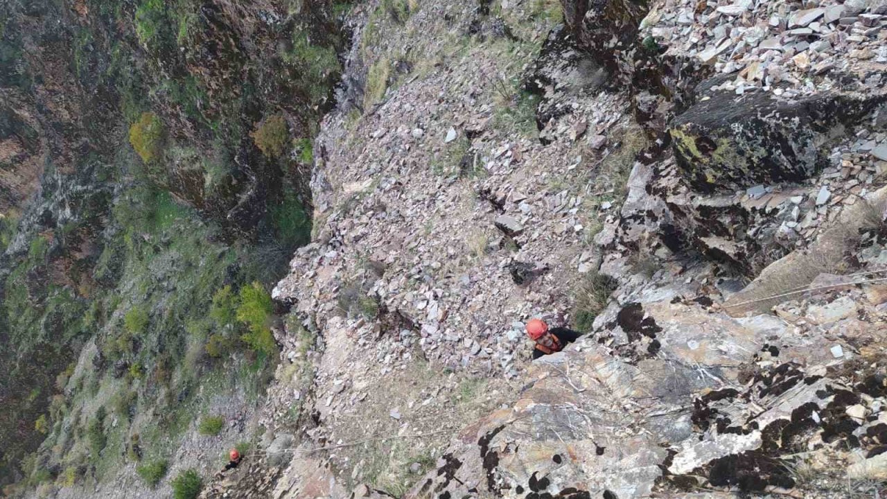 Kayalıklarda mahsur kalan keçiler kurtarıldı