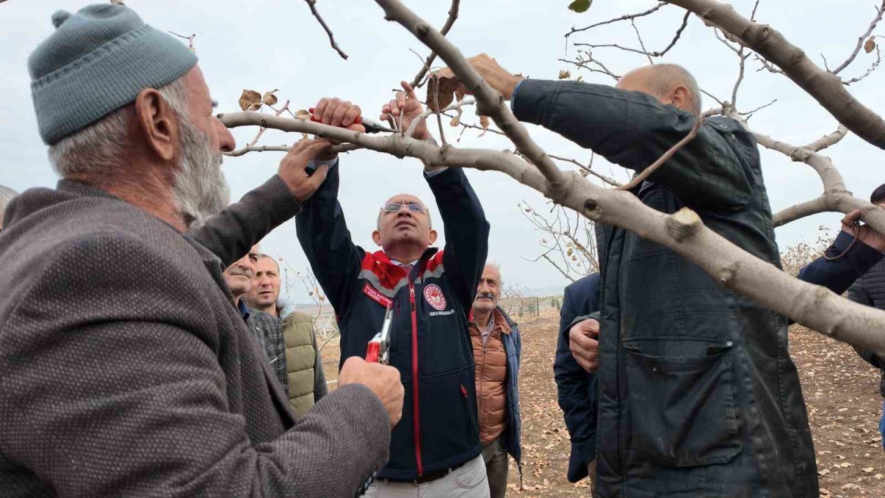 Siirt’te fıstık üreticilerine teorik ve pratik ‘budama’ ile ‘gübreleme’ eğitimi