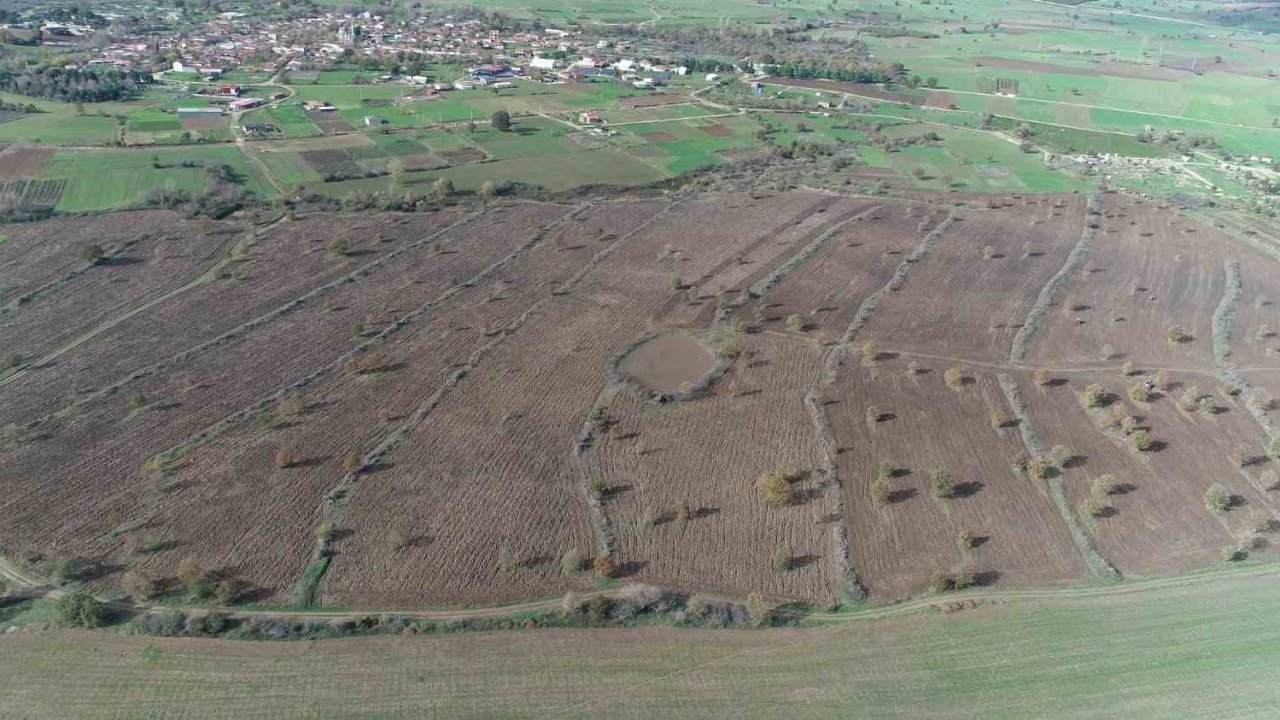 Biga’da proje çerçevesinde 2 yılda 845 dekar mera alanı ıslah edildi