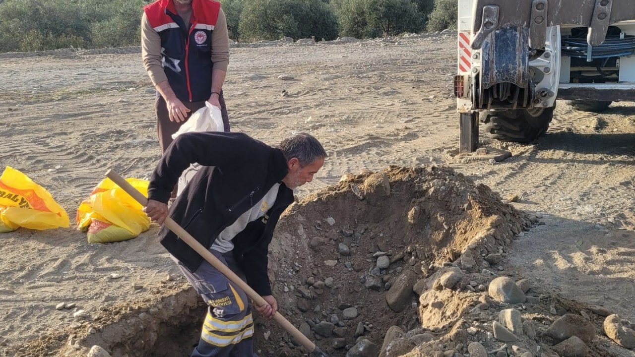 Buharkent’te toprak analizi yapıldı