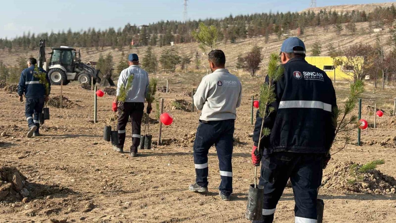 Sincan Belediyesi’nden kadına yönelik şiddete karşı anlamlı etkinlik