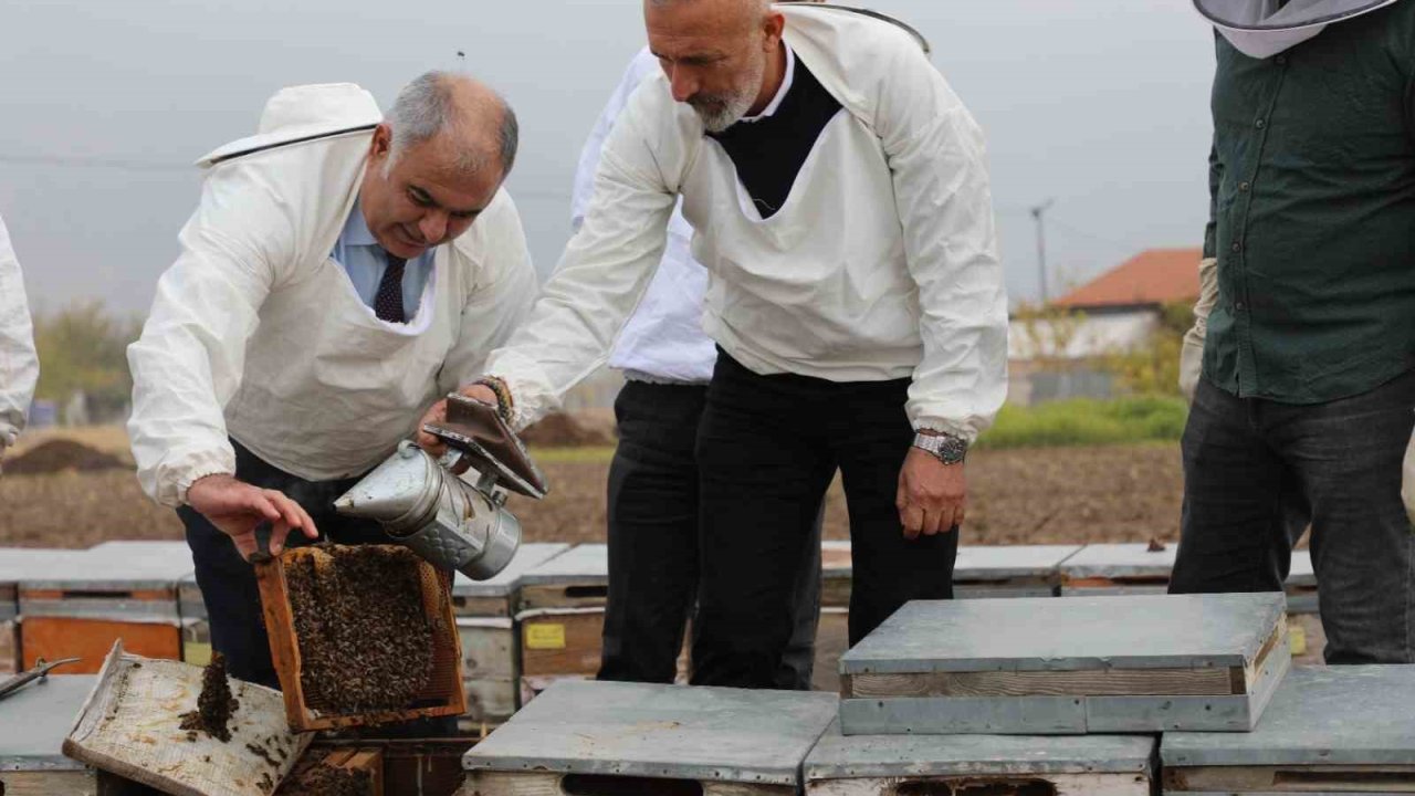 Elazığ arı kovanları incelendi