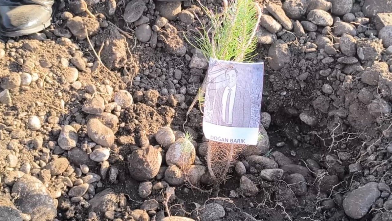 Öğretmenler, şehit ve depremde kaybedilen meslektaşları için fidan dikti