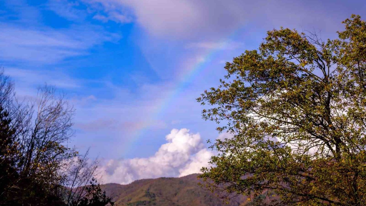 Yağıştan sonra gökyüzünde gökkuşağı oluştu