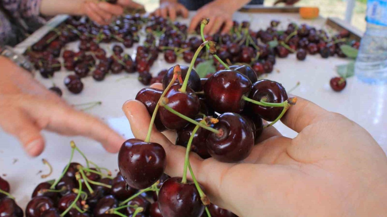 15 Aralık’ta okullarda "Coğrafi İşaret Günü" kutlanacak