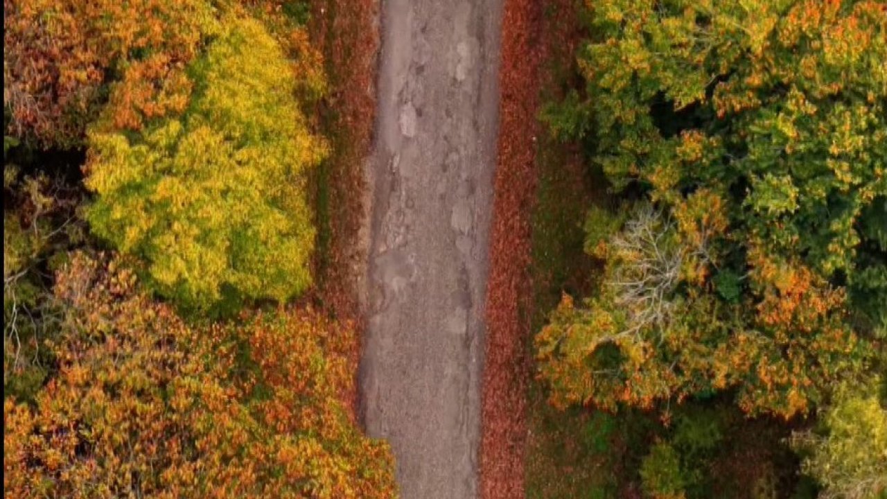 Sinop’ta sonbahar güzelliği