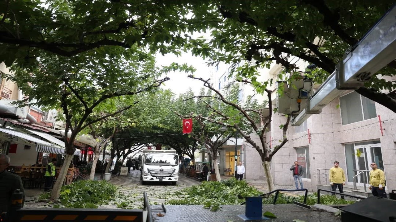 İncirliova Sevgi Yolu’ndaki ağaçlara bakım