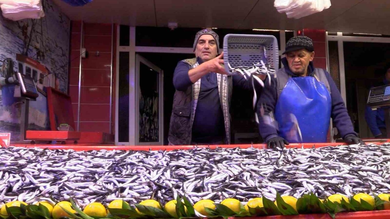 Bolu’da hamsinin kilosu 150 liraya düştü