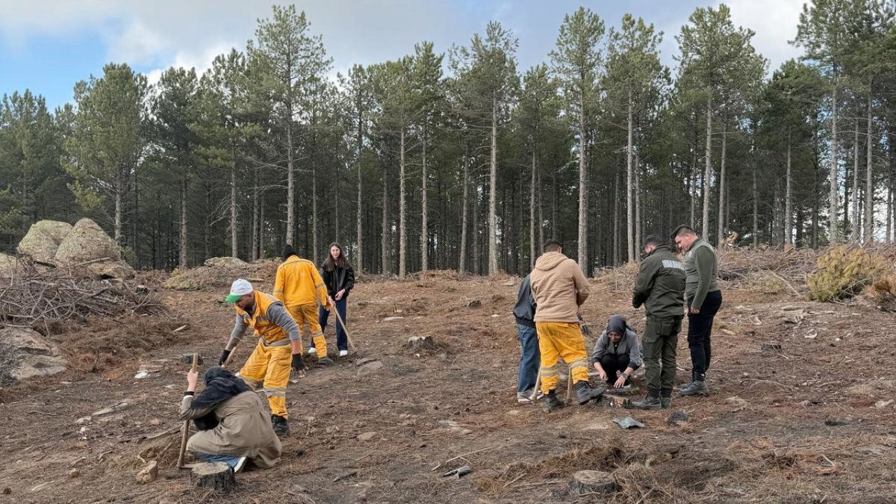 Kırşehir’den gelen üniversite öğrencileri Çine’de fidan dikti
