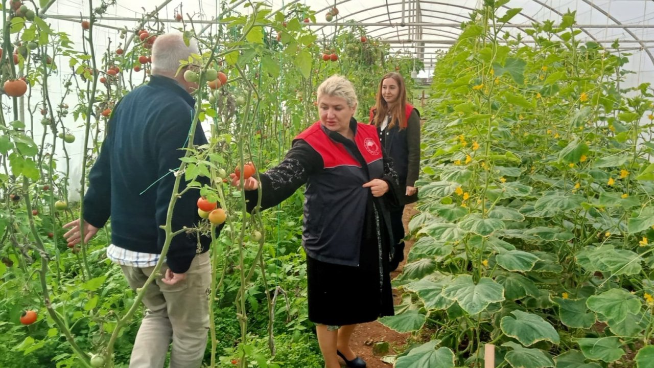 Kırklareli’nde sera kontrolleri
