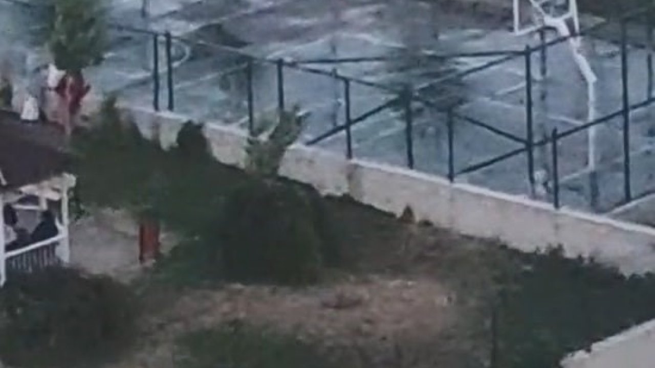 Ankara’da iki kardeşe saldıran pitbullun sahibinin, köpeğini tasmasız ve ağızlıksız gezdirdiği görüntüler ortaya çıktı